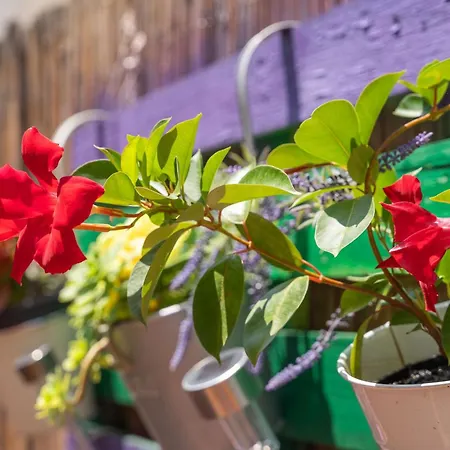 Santa Διαμέρισμα *