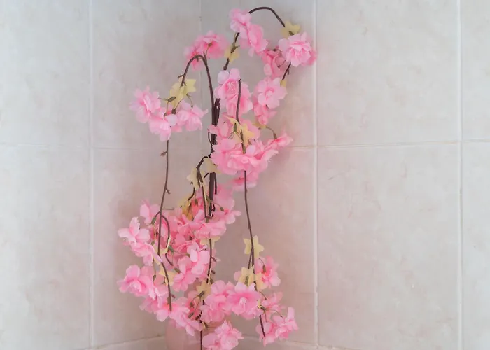 Διαμέρισμα Santa *