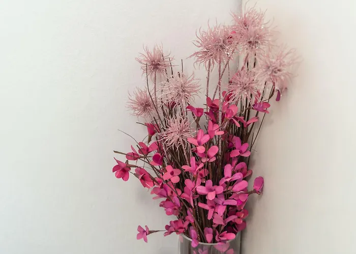 Santa Διαμέρισμα *