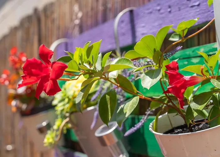 Santa Διαμέρισμα *