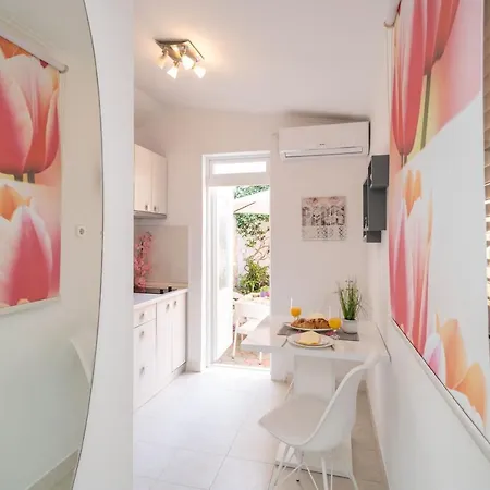 Santa Дубровник